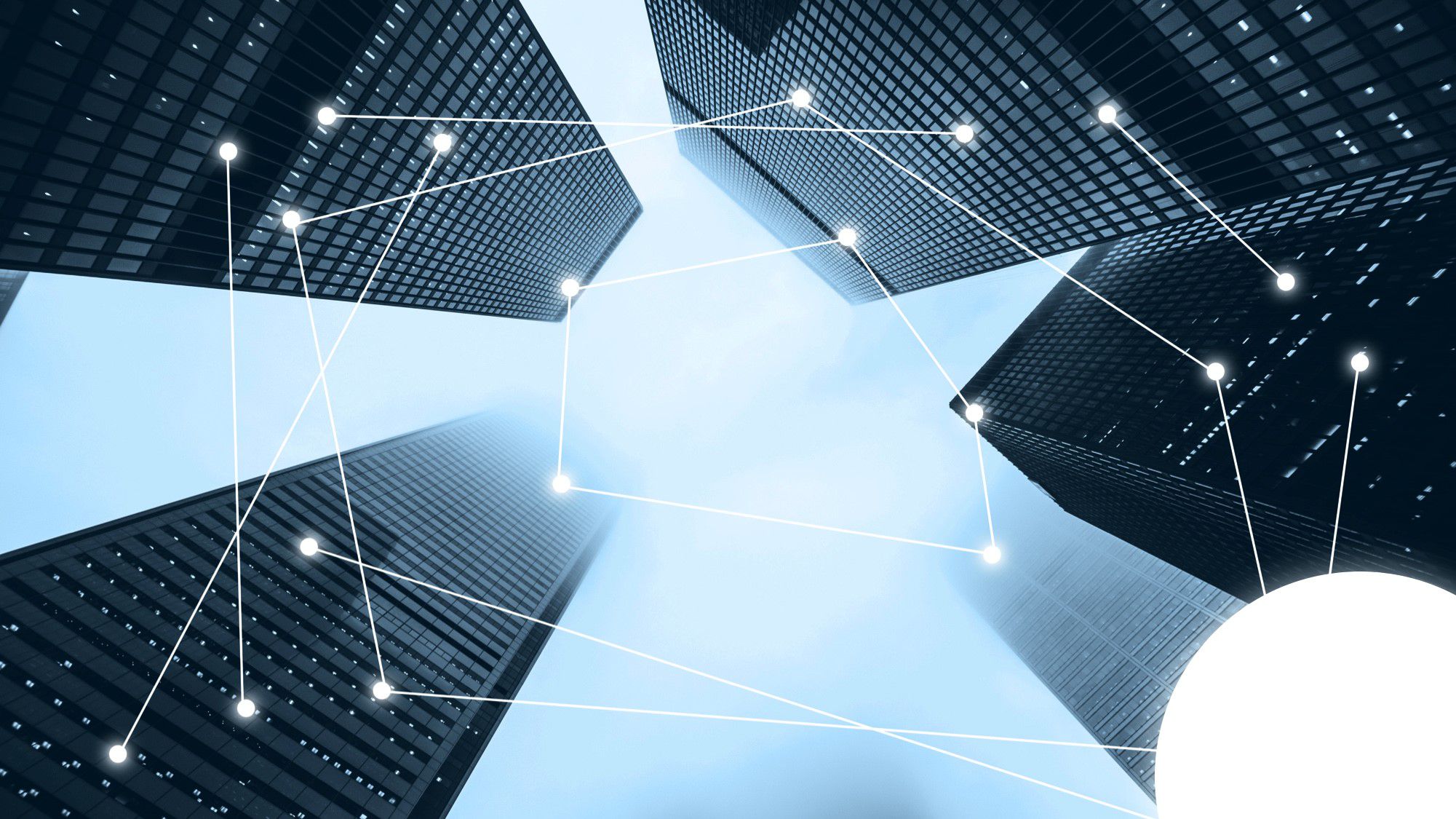 Odoo • 文字和图像